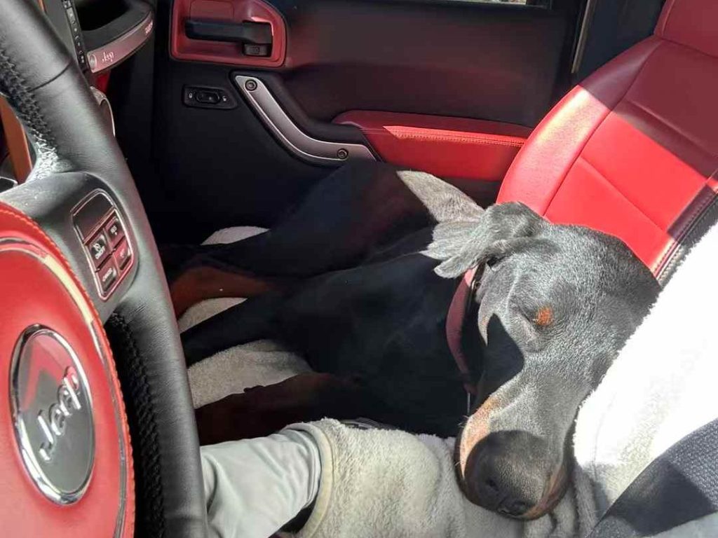 珍珠和我（三）在路上