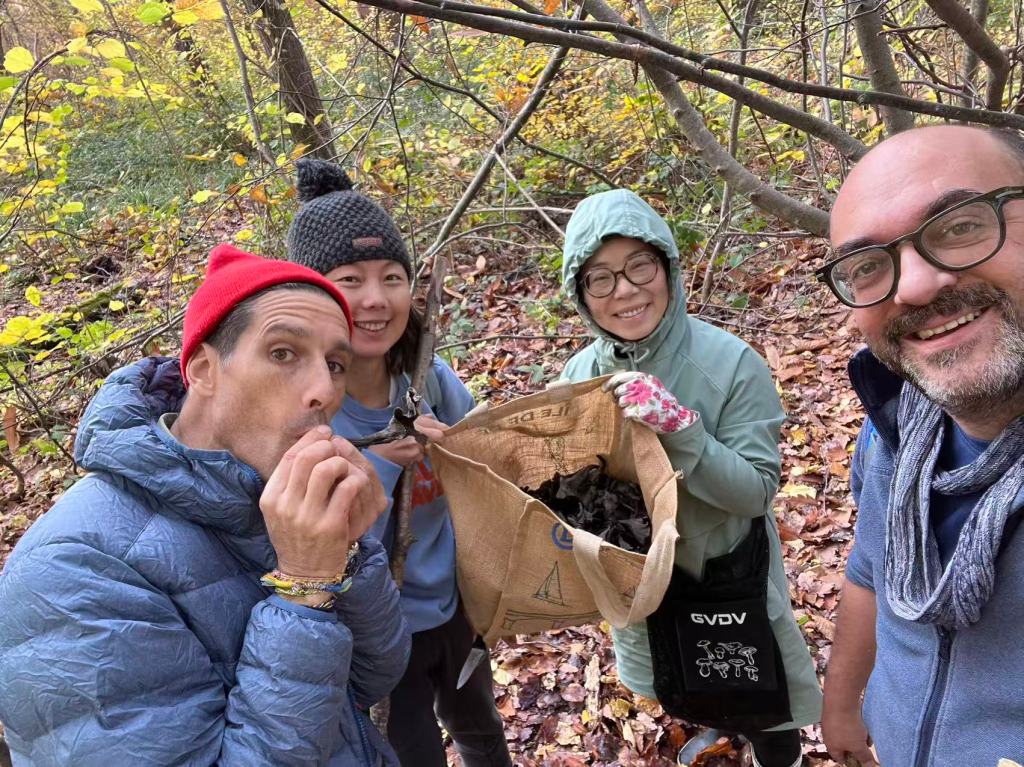 诺曼底生活就是蘑菇+蘑菇