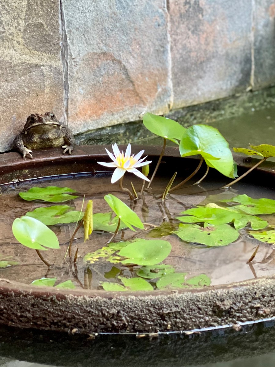 没做功课 别来烦我