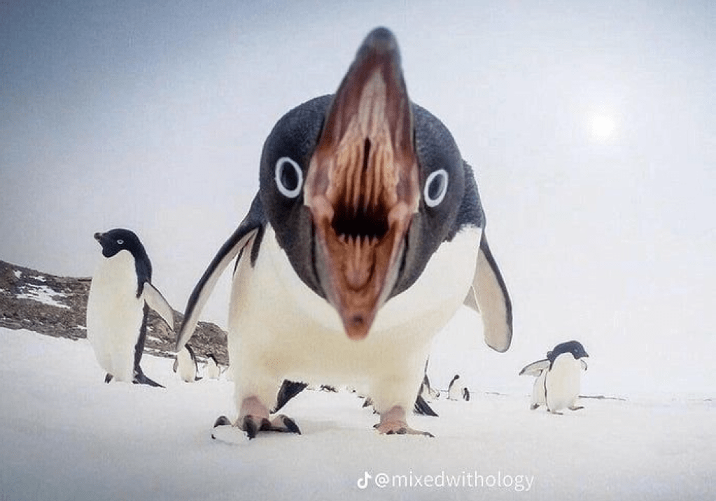 一个优秀的前任 就应该像死了一样